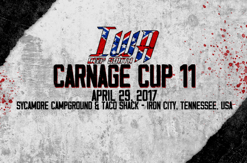 IWA DS Carnage Cup 11